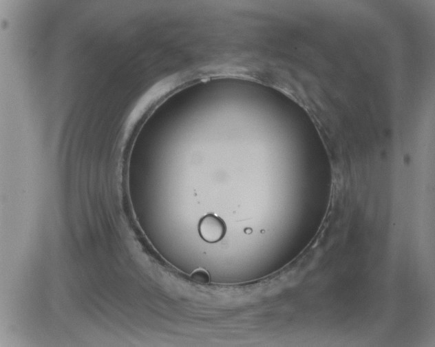 X0000083530006200702161924