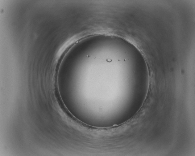 X0000083530007200702161924