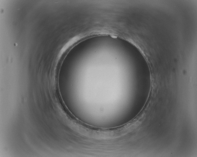 X0000083530008200702161924