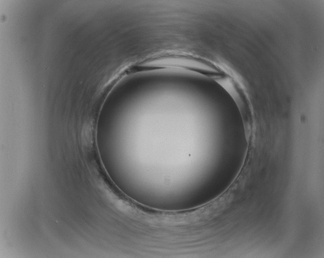 X0000083530009200702161924