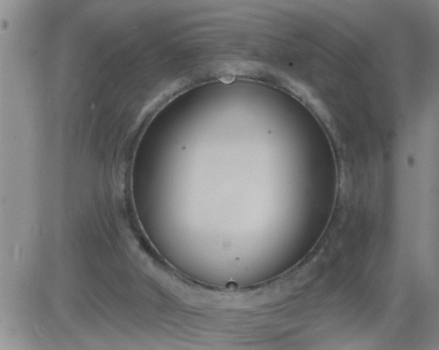 X0000083530010200702161924