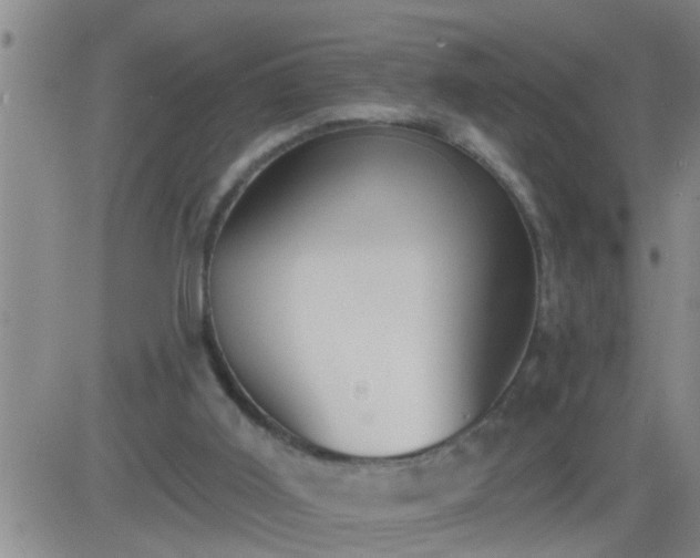 X0000083530011200702161924