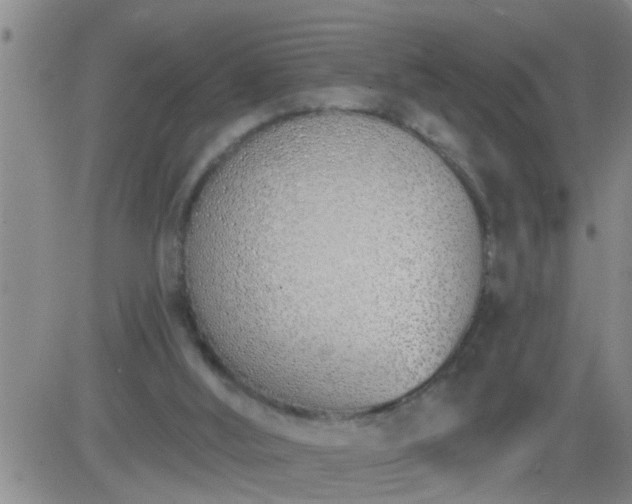 X0000083530012200702161924