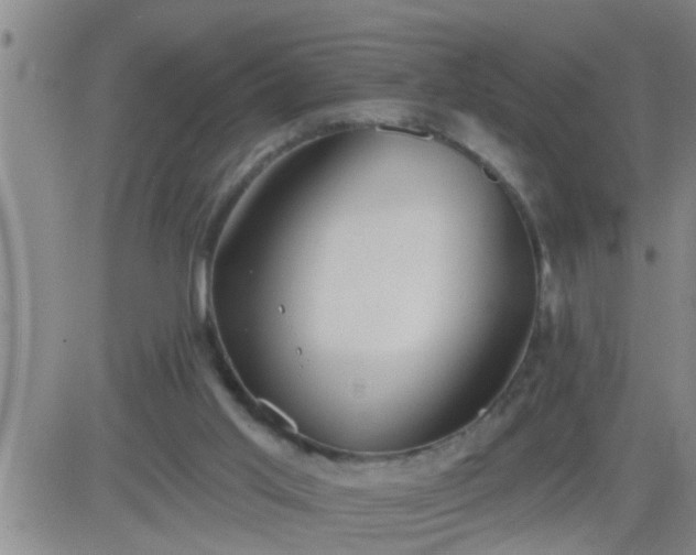 X0000083530013200702161924