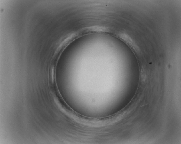 X0000083530014200702161924