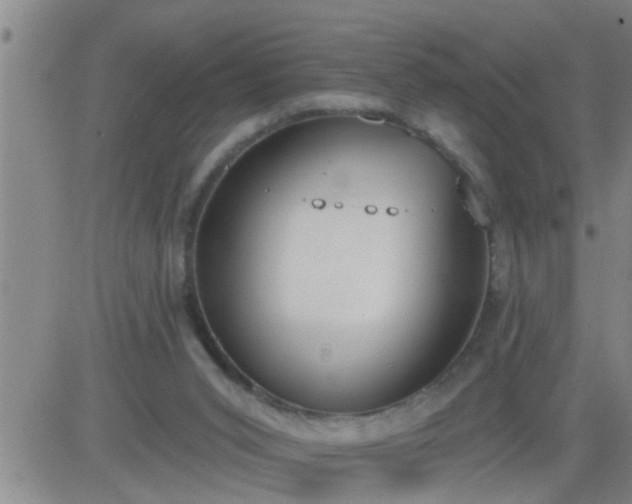 X0000083530015200702161924