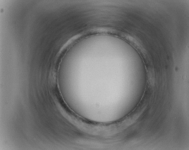 X0000083530016200702161924