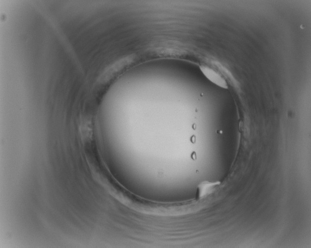 X0000083530017200702161924