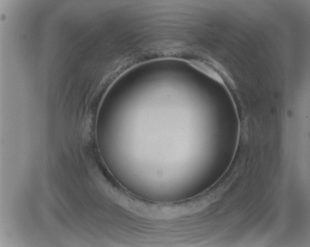 X0000083530018200702161924