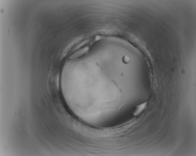 X0000083530019200702161924