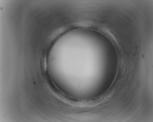 X0000083530020200702161924