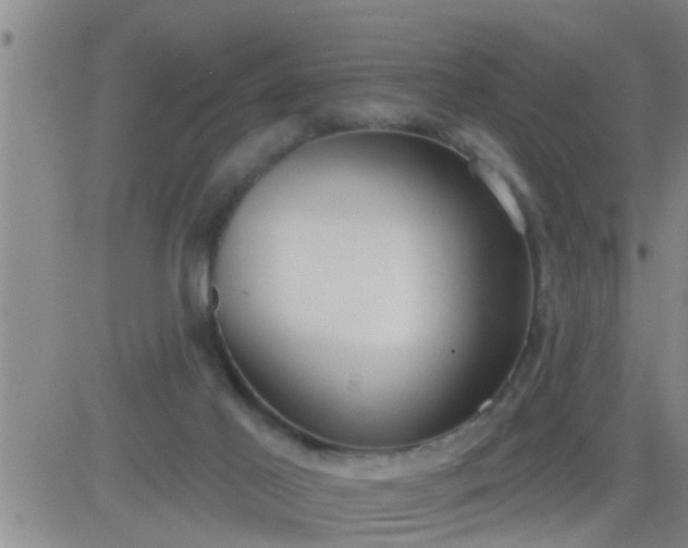 X0000083530021200702161924