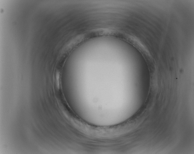 X0000083530022200702161924