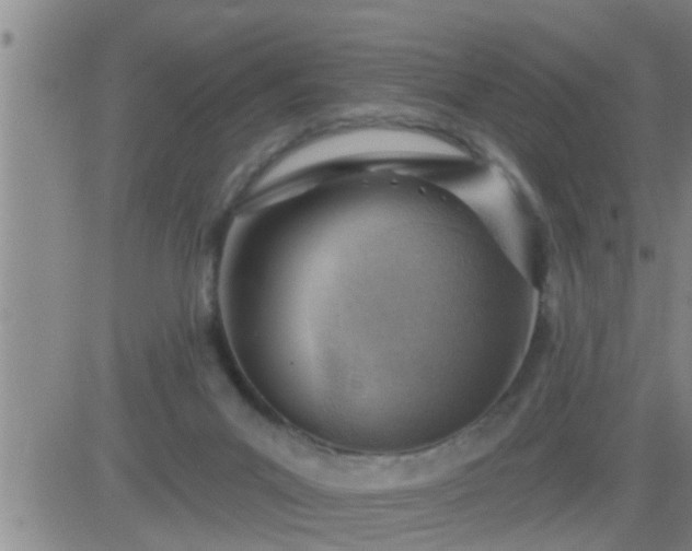 X0000083530023200702161924