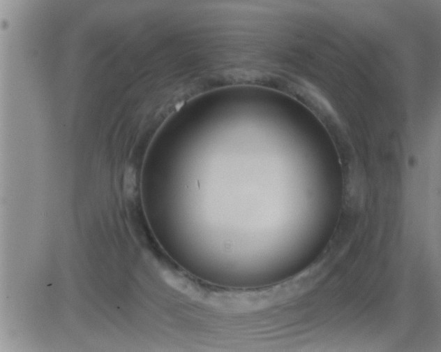 X0000083530025200702161924