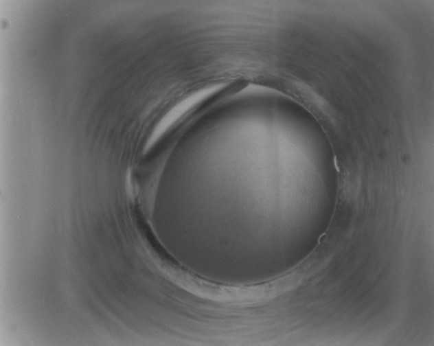 X0000083530027200702161923