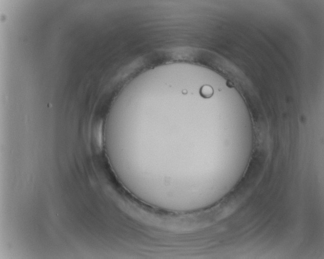 X0000083530028200702161923