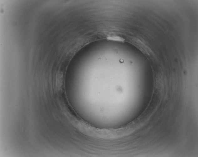 X0000083530030200702161923