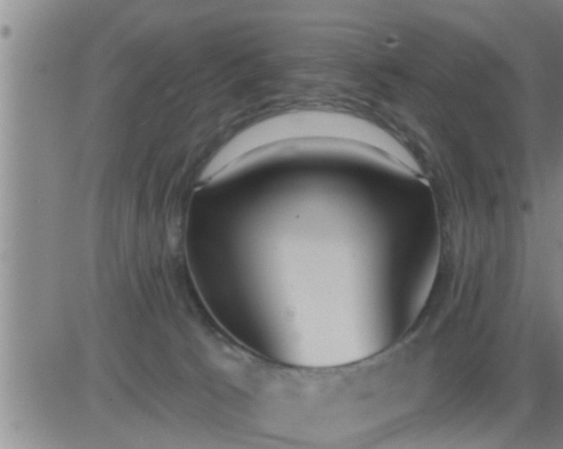 X0000083530033200702161923