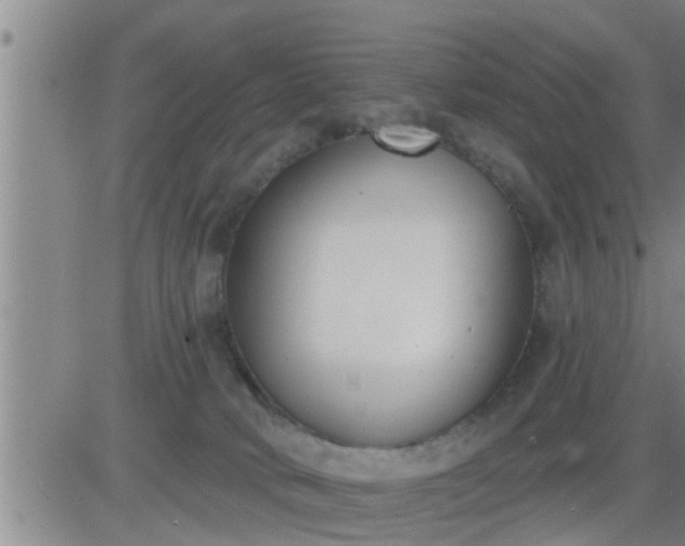 X0000083530034200702161923