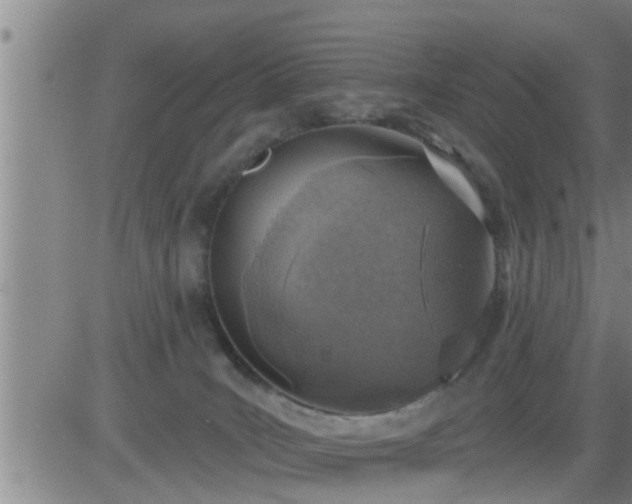 X0000083530035200702161923