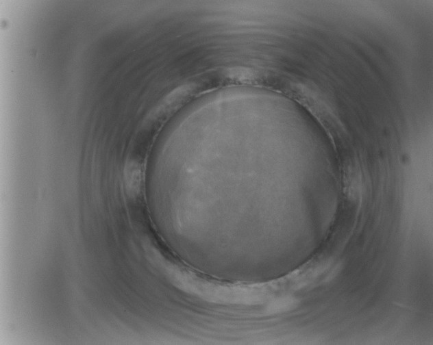 X0000083530036200702161923