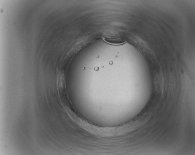 X0000083530038200702161923