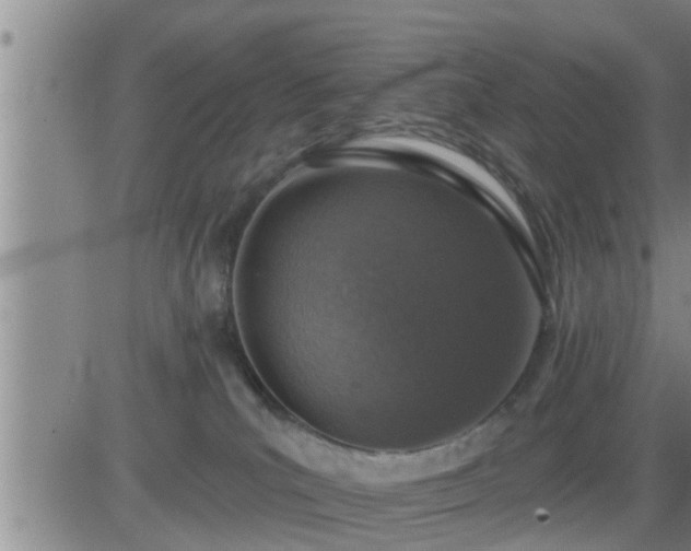 X0000083530039200702161923