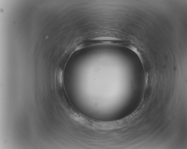 X0000083530041200702161923