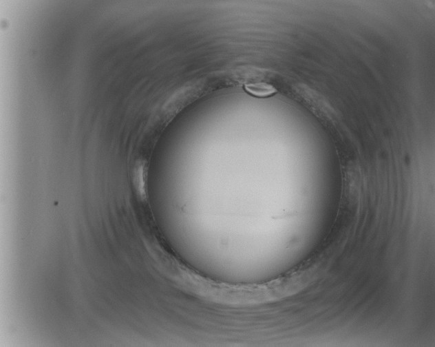 X0000083530042200702161923