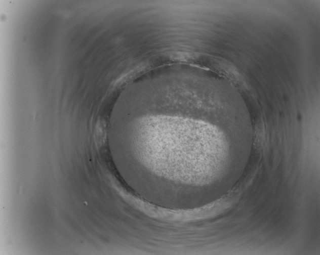 X0000083530043200702161923