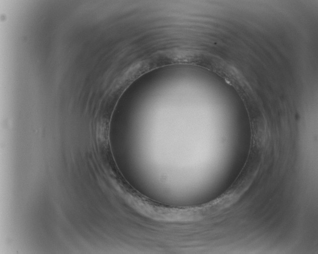 X0000083530044200702161923