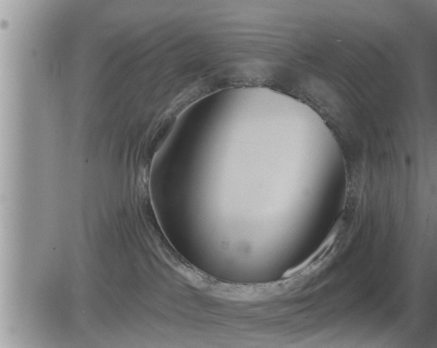 X0000083530045200702161923