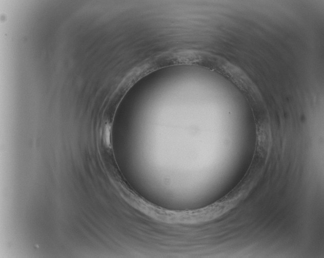 X0000083530046200702161923