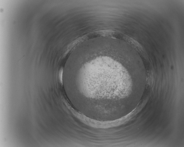 X0000083530047200702161923