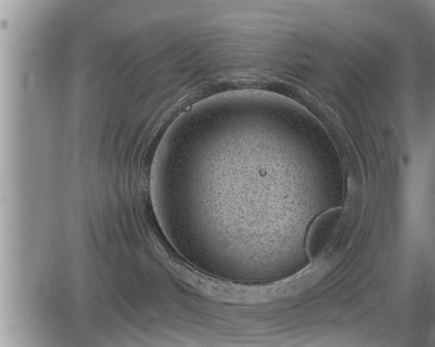 X0000083530048200702161923