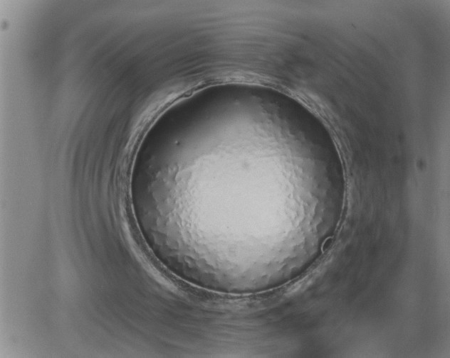 X0000083530049200702161922