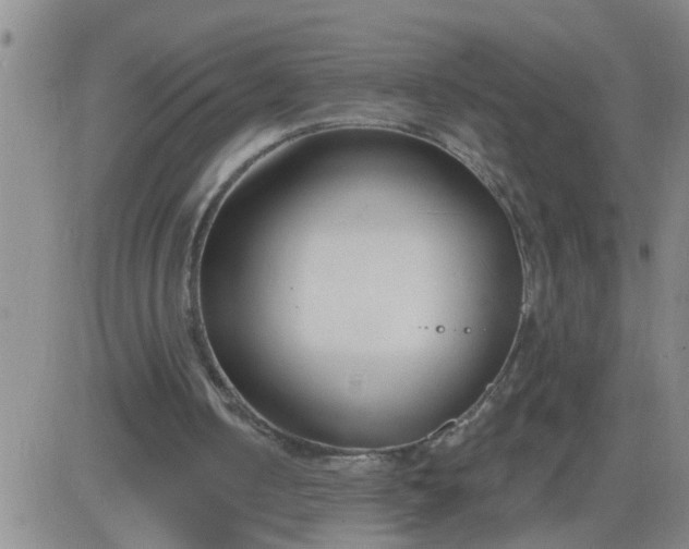 X0000083530050200702161922