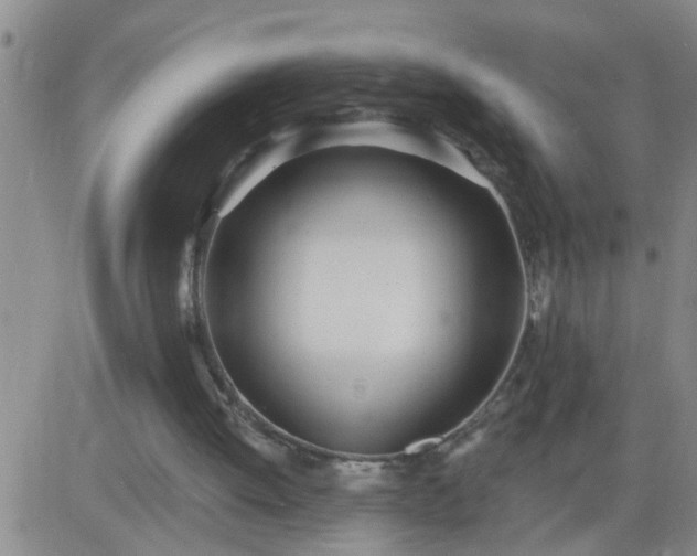 X0000083530052200702161922