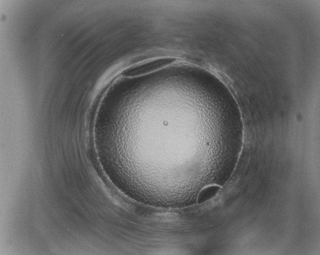 X0000083530053200702161922