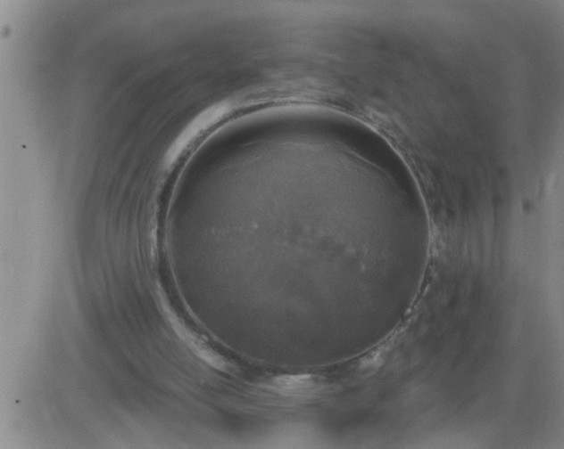 X0000083530054200702161922