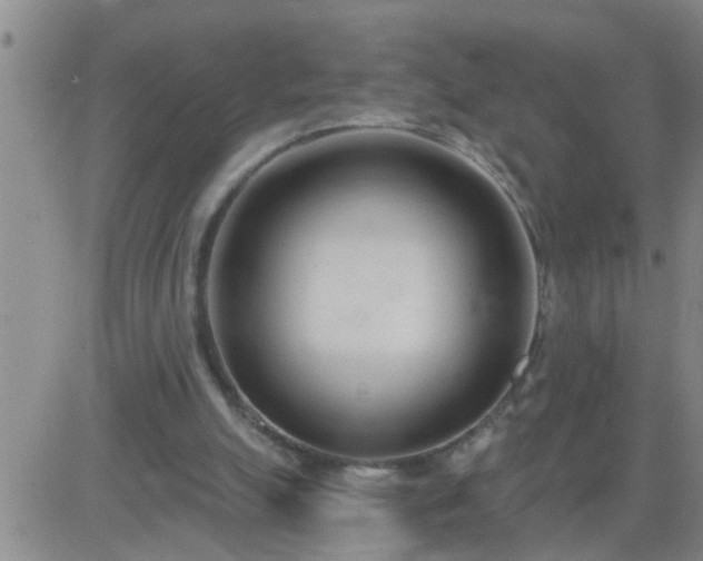 X0000083530055200702161922