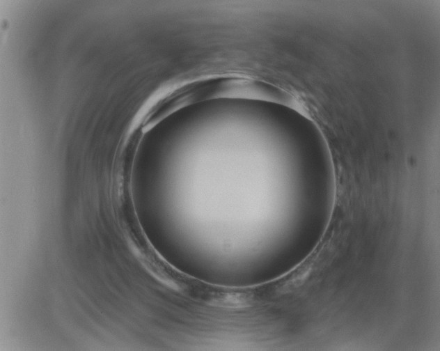 X0000083530056200702161922