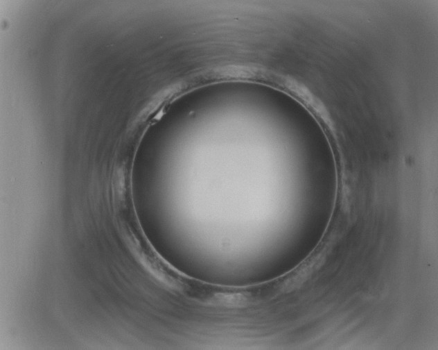 X0000083530057200702161922