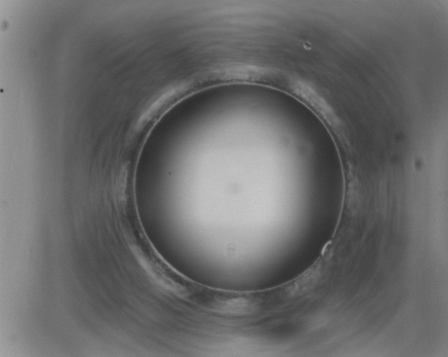 X0000083530058200702161923