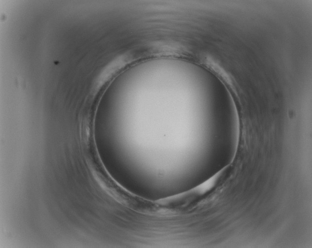 X0000083530059200702161923