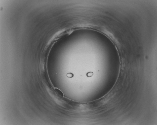 X0000083530060200702161923