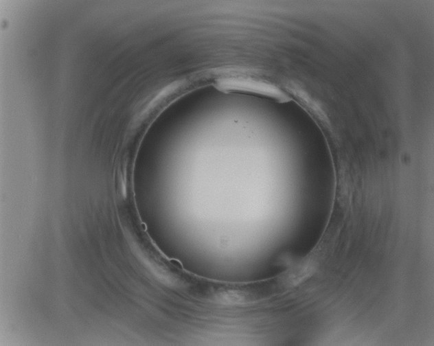 X0000083530062200702161923