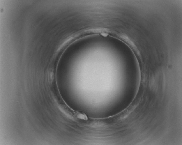 X0000083530063200702161923