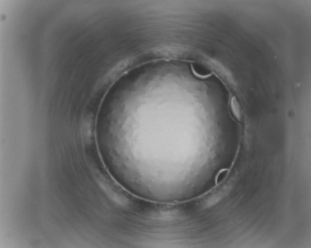 X0000083530065200702161923